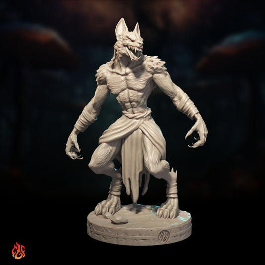 Jackals Bundle