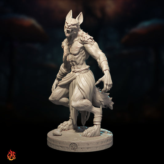 Jackalwere