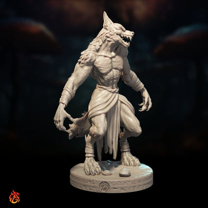 Jackalwere