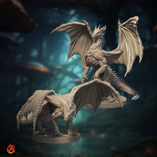 Red Dragon Wyrmlings