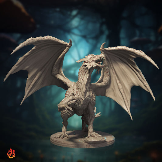 Young Red Dragon