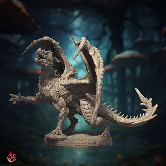 Young Red Dragon