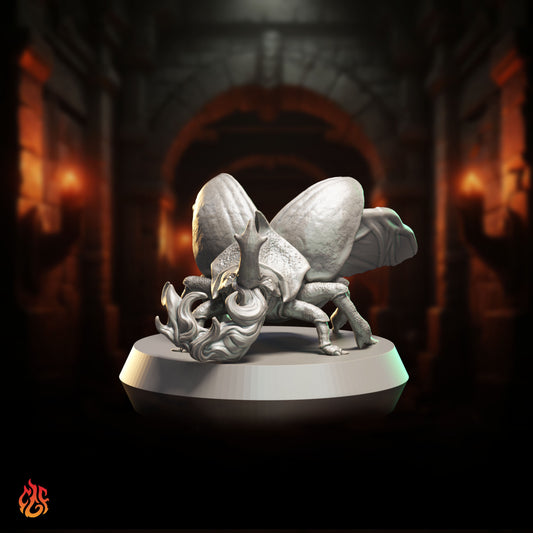 Fire beetle