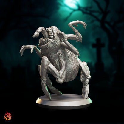 Xorn