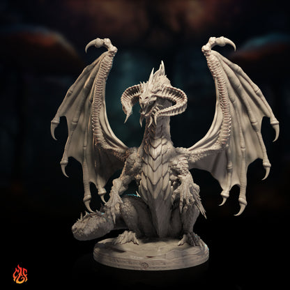 Black Dragons Bundle