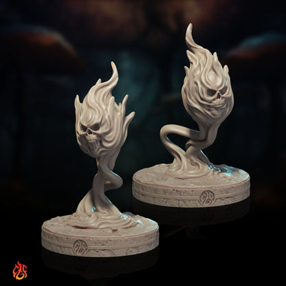 Black Dragons Bundle