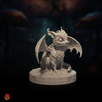 Black Dragon Hatchling