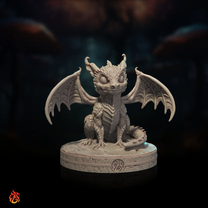 Black Dragons Bundle