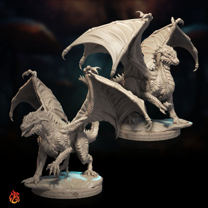 Black Dragon Wyrmlings
