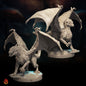 Black Dragon Wyrmlings