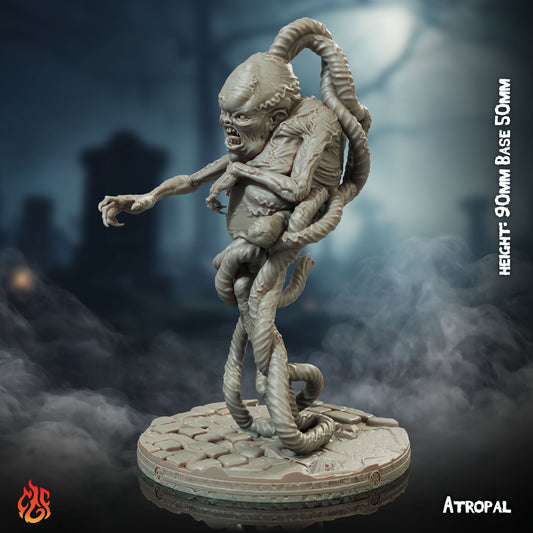 Atropal (Digital, STL files)