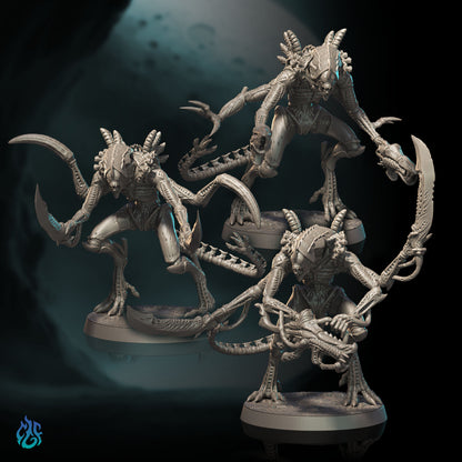Guerriers Xénomorphes Nilvorax