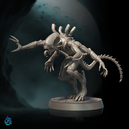 Xenomorphs Nilvorax Broodlings