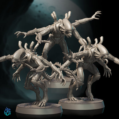 Xenomorphs Nilvorax Broodlings