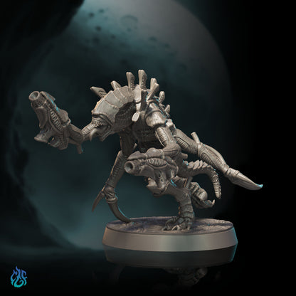 Xenomorphs Nilvorax Headhunters - shooting