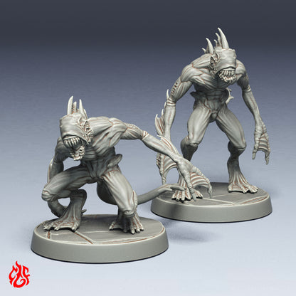Cult of Zargon Bundle