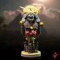 Buste de la reine momie