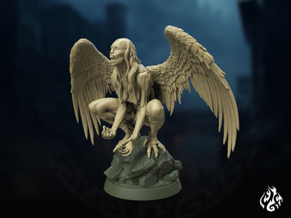 Harpy