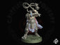 Vikings du Chaos