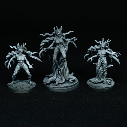 Dryades en décomposition