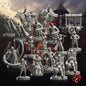 Jousting  Arena Set