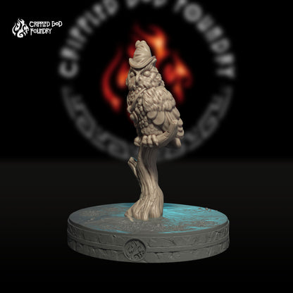 Familier du hibou