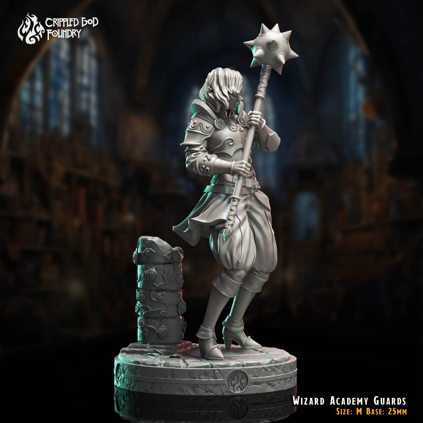 Wizard Academy Guards