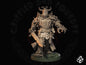 Chevalier Amanite