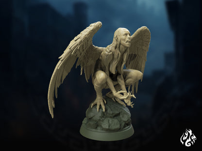 Harpy