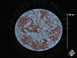 Skeletal Base Set
