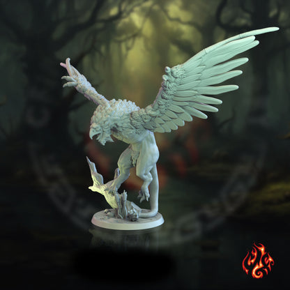 Griffin