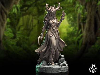 Alyndra, Circle of the Land Druid