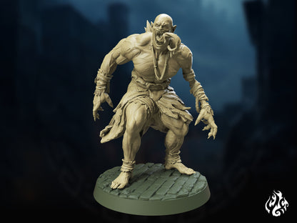 Feral Ghoul