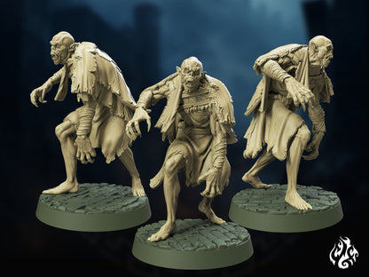 Barrow Vampires