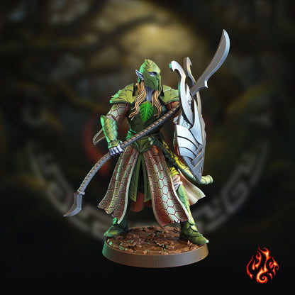 Guerriers elfes