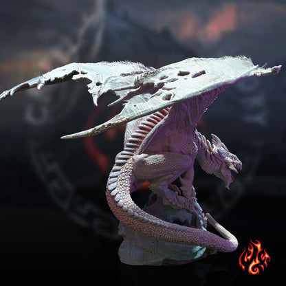 Cadmush le Wyrm de givre | Dragon blanc