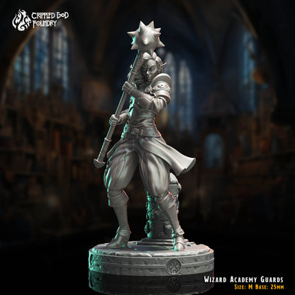 Wizard Academy Guards
