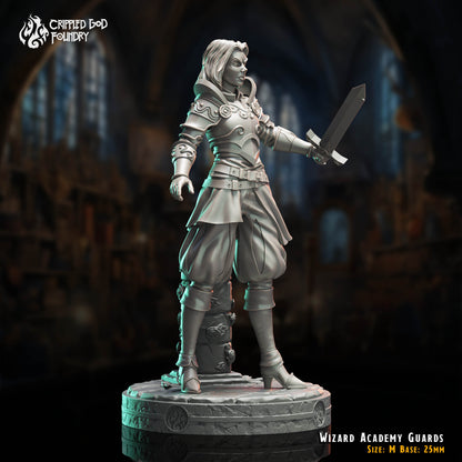 Wizard Academy Guards