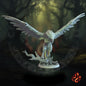 Griffin
