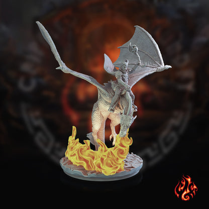 Cavaliers du dragon noir
