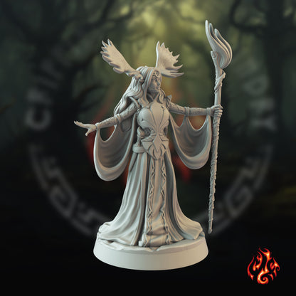 Lyrei, druide elfe