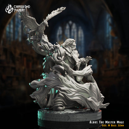 Albus le Maître Mage