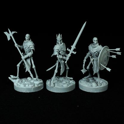 Skeleton Warriors