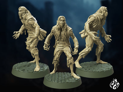 Barrow Vampires