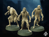 Barrow Vampires