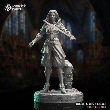 Wizard Academy Guards