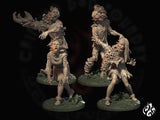 Zombies mycéliens