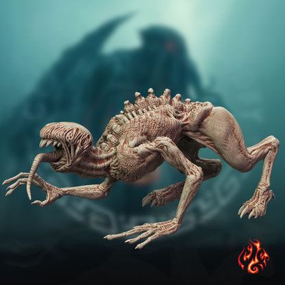 Hound of Tindalos