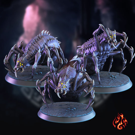 Araignées géantes sombres