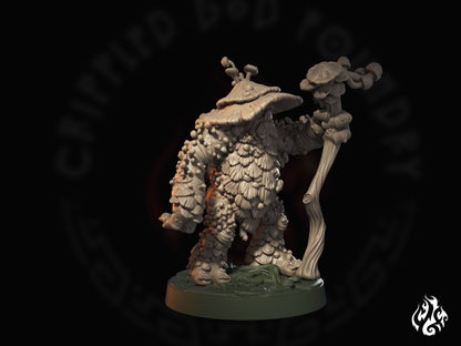 Amanita Shaman